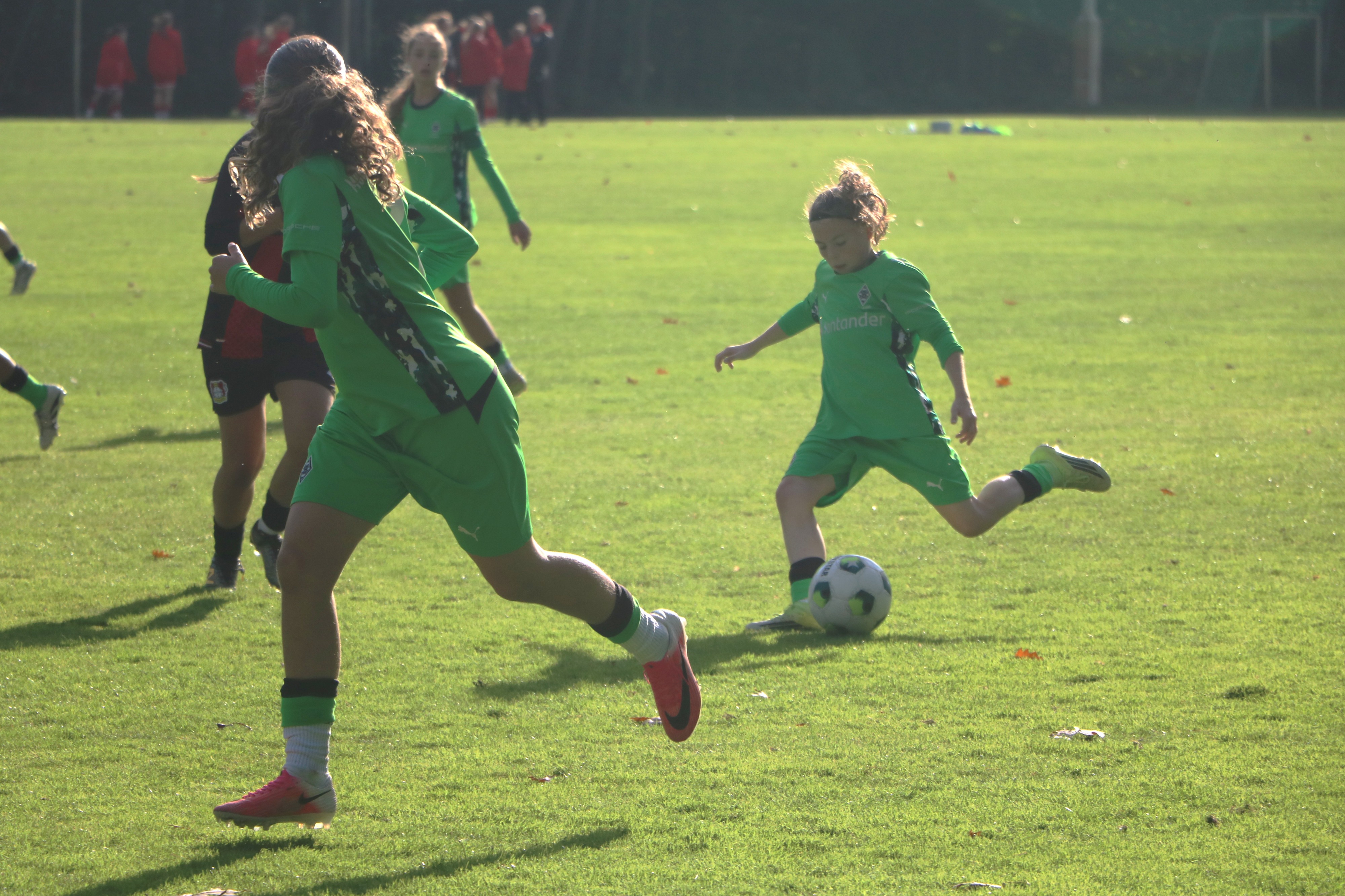 WDFV C-Juniorinnen-Nachwuchs-Cup