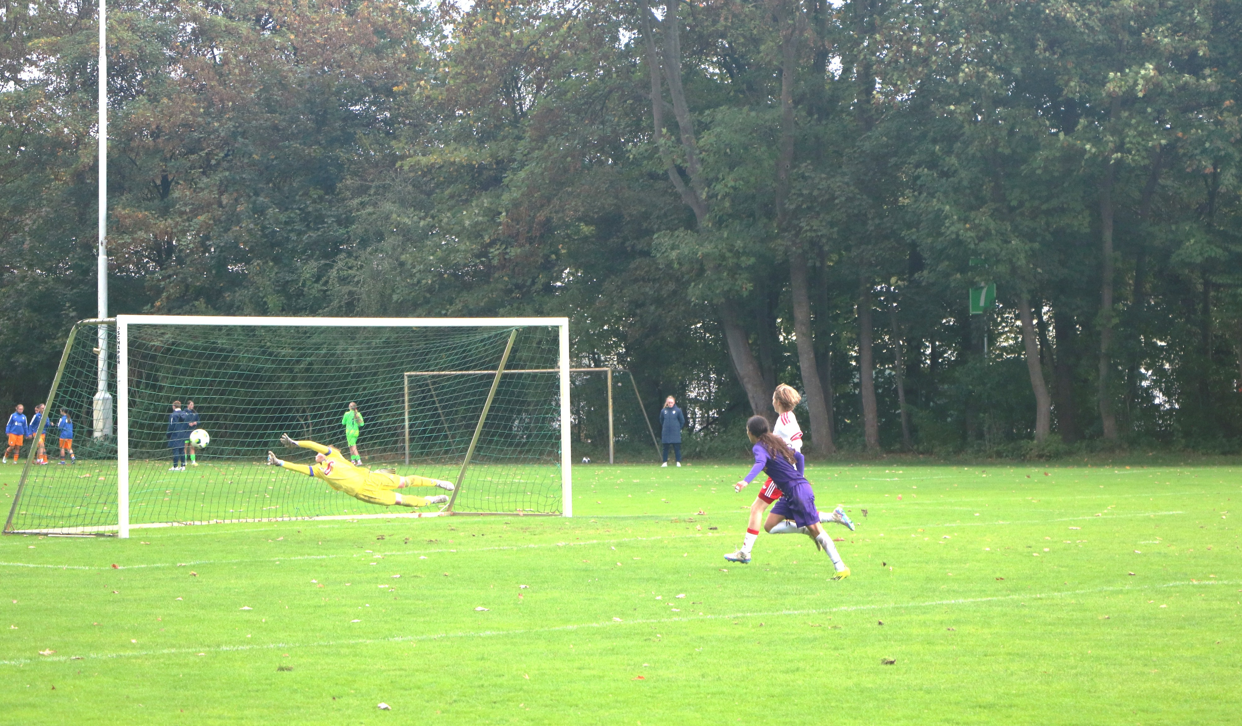 WDFV C-Juniorinnen-Nachwuchs-Cup